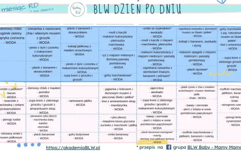 BLW co to? Tygodnie 7 i 8: propozycje posiłków dla niemowląt, np. omlet z jabłkiem, zupa krem z groszku, placki bananowe.