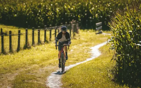 Ein Mann fährt mit seinem Rennrad auf einem Feldweg im Schwarzwald, umgeben von Maisfeldern und Sonnenschein.