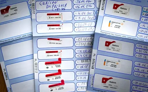 Ile czeka się na paszport dla psa? Sprawdź, by uniknąć opóźnień