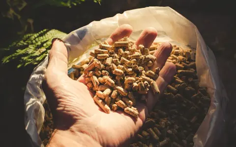 Mano che tiene un pugno di pellet, combustibile ecologico.