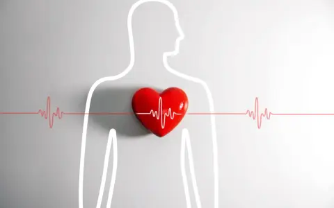 Czerwone serce z linią EKG na tle sylwetki człowieka. Zastanawiasz się nad kołataniem serca przyczyny?