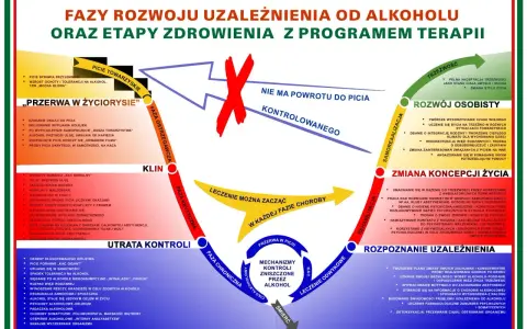 Schemat faz rozwoju alkoholizmu i etapów zdrowienia. Pokazuje cykl choroby i drogę do trzeźwości.