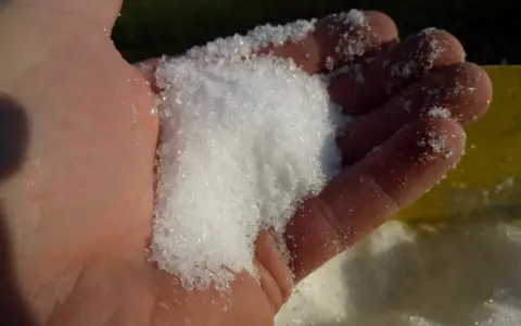 Siarczan magnezu zastosowanie w ogrodnictwie. Biały, krystaliczny proszek w dłoni, gotowy do użycia jako nawóz.
