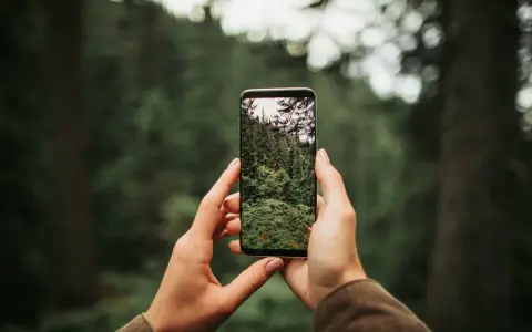 Dłonie trzymają telefon, na ekranie którego widać gęsty las. Dowiedz się, jak ustawić aparat w telefonie, by uchwycić piękno natury.
