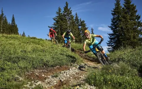 Tre cyklister njuter av att cykla i skogen på en solig dag.