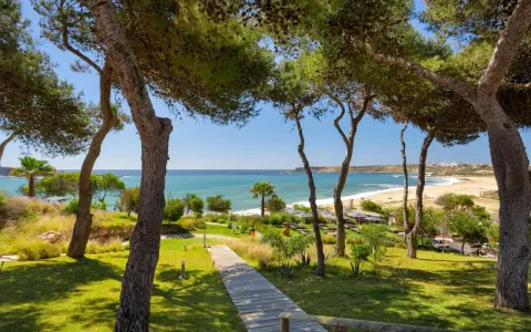 Holzweg führt zu einem sonnigen Strand in Pera, Portugal. Pinienbäume säumen den Weg zum türkisfarbenen Meer.