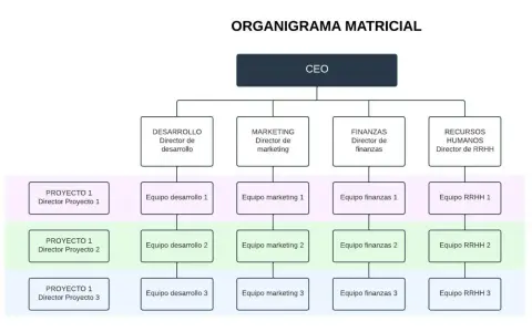 Organigrama matricial con CEO, directores de área (Desarrollo, Marketing, Finanzas, RRHH) y equipos de proyecto. Ejemplos de organigramas.