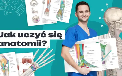 Uśmiechnięty student medycyny prezentuje materiały do kursu anatomii: szkielet, mięśnie i kości.