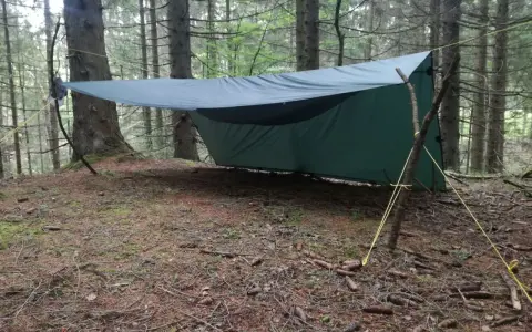 Ein grünes Tarp-Setup mit Hängematte zwischen Bäumen im Wald. Gelbe Seile sichern das Ganze.