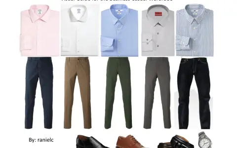 Guía visual de vestimenta business casual: camisas, pantalones de vestir, jeans, zapatos y accesorios.