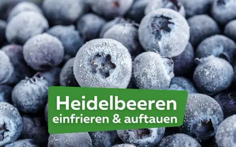 Nahaufnahme von gefrorenen Heidelbeeren, die zum Verarbeiten bereit sind. Der Text "Heidelbeeren einfrieren & auftauen" ist auf einem grünen Feld sichtbar.