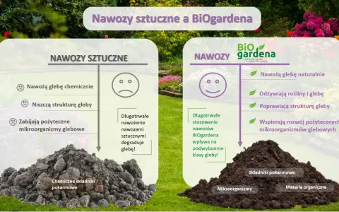 Jaki nawóz sztuczny pod warzywa? Sprawdź, jak uniknąć błędów w nawożeniu