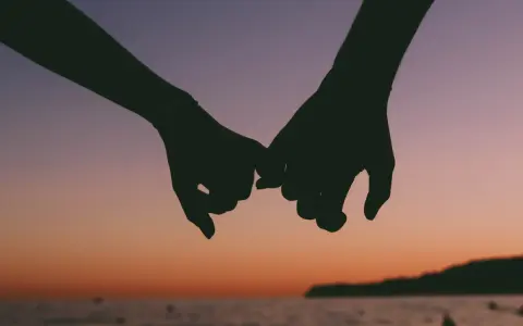 Siluetas de dos manos entrelazadas al atardecer, un gesto de apoyo mutuo, un rol de salvadora que se siente en la unión.