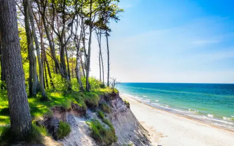 Piękny widok na klif i plażę w Niechorzu. Drzewa na skarpie, szum fal i błękitne niebo tworzą niezapomniane niechorze atrakcje.