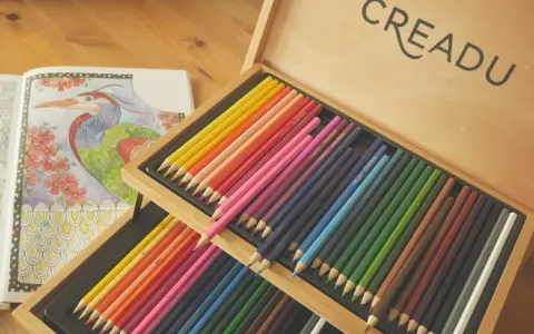Miękkie kredki artysty malarza w drewnianej kasecie, obok kolorowanki z ptakiem.