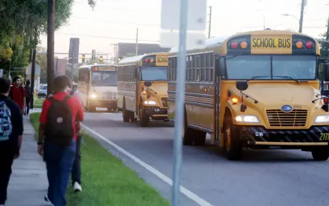 Schüler gehen zur Schule, während gelbe Schulbusse vorbeifahren. Denken Sie über die Kosten nach: wie viel kostet ein Auslandsjahr in Amerika?