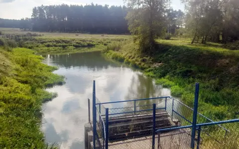 Spokojna rzeka otoczona zielenią, z widocznym pomostem i ogrodzeniem. Piękne zdjecia w wodzie odbijające niebo.