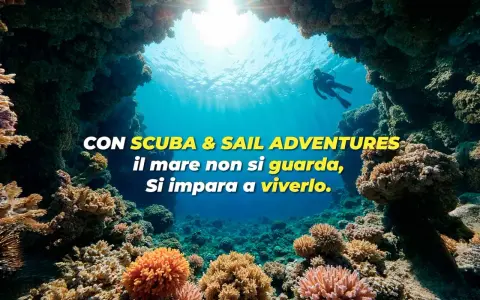 Subacqueo esplora un colorato reef corallino. L'immersione sportiva ti porta a vivere il mare, non solo a guardarlo.
