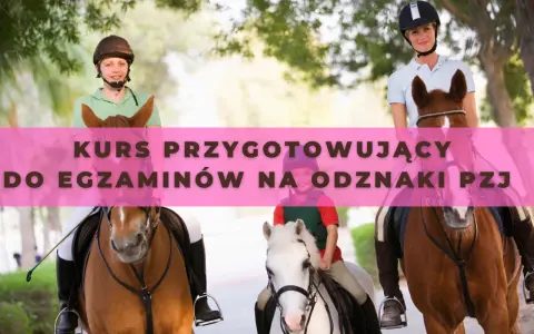 Odznaka Jeżdżę Konno PZJ: Zdać egzamin? Mój poradnik.