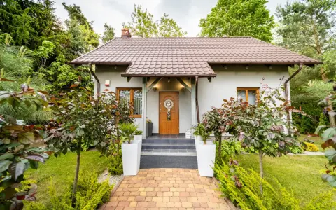 Przyczyna Górna: Noclegi od 40 zł? Odkryj ten raj!