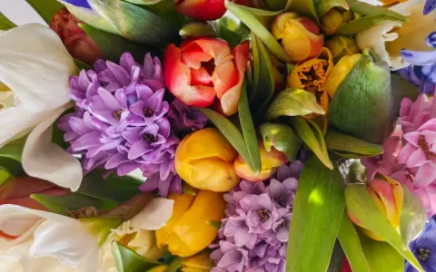 Kolorowe bukiety wiosenne: fioletowe hiacynty, żółte i czerwone tulipany, białe kalie i niebieskie irysy tworzą radosną kompozycję.