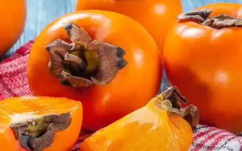 Czy pies może jeść kaki? Bezpieczne sposoby na podanie owocu