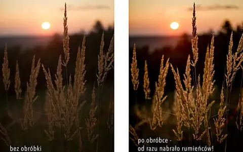Złota godzina w fotografii. Trawa w słońcu, po obróbce nabrała ciepłych, złotych barw.