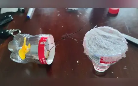 Odkurzacz z butelki PET: Zbuduj go sam! Czy to działa?