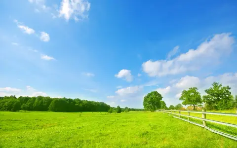 Zielona łąka, białe chmury na błękitnym niebie, płot i drzewa. To miejsce to przykład trwałe przekształcenie krajobrazu, gdzie natura harmonijnie współistnieje z człowiekiem.