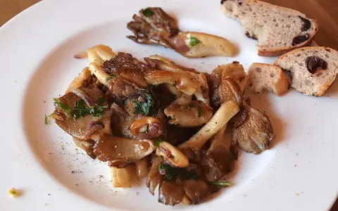 Gebratene Austernpilze mit Kräutern und Brot. So einfach lassen sich Austernpilze zubereiten.
