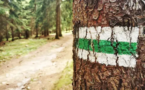Jaki kolor szlaku jest najłatwiejszy? Obalamy mit! Jak ocenić szlak?