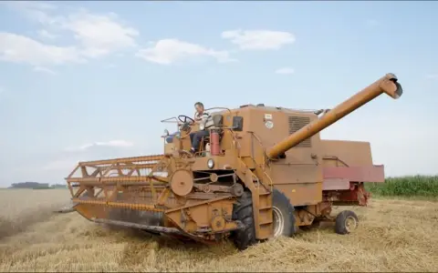 Kombajn zbożowy w akcji. Rolnik za sterami, a pytanie brzmi, ile pali bizon na hektar?