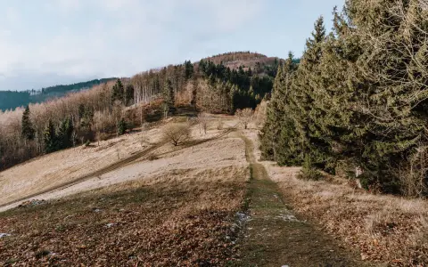 Ścieżka wije się przez trawiaste zbocze w Beskidzie Morawskim, otoczona drzewami.