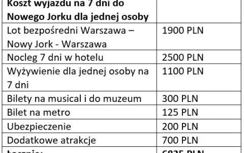 Lot do Ameryki: Ceny od 2500 zł. Jak znaleźć najtańszy bilet?