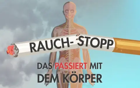 Rauch-Stopp: Ein zerbrochenes Zigarettenstück mit der Aufschrift "Rauch-Stopp" liegt vor einer transparenten menschlichen Anatomie. Darunter steht "Das passiert mit dem Körper".