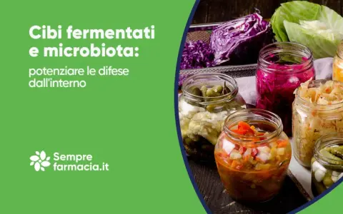 Cibi fermentati per una dieta che supporta il microbiota: un esempio di benessere dall'interno.