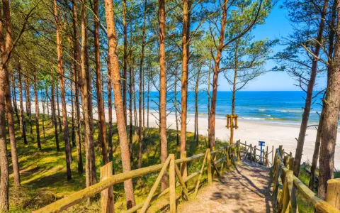 Ścieżka przez sosnowy las prowadzi do jednej z najpiękniejszych plaż w Polsce. Biały piasek, turkusowe morze i błękitne niebo tworzą rajski widok.