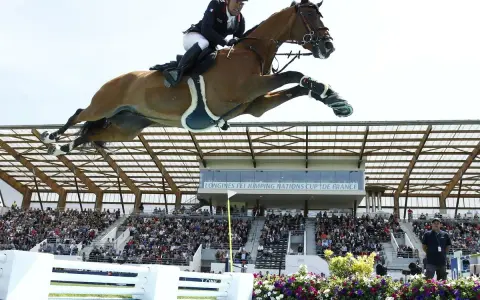 Un cavalier et son cheval s'envolent au-dessus d'une rivière lors d'un CSI Equitation. Le public applaudit dans les gradins.