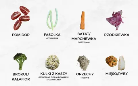 Kiedy jakie warzywa dla niemowlaka – uniknij błędów w diecie dziecka
