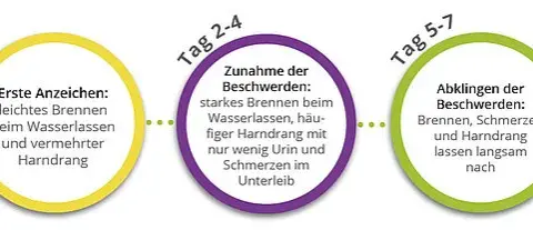 Symptome Zystitis: Erkennen Sie die Warnsignale rechtzeitig