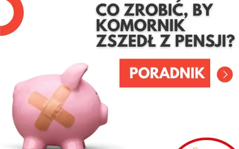 Różowa świnka-skarbonka z plastrem na brzuchu. Tekst: "Co zrobić, by komornik zszedł z pensji? Poradnik". Dowiedz się, jak działa komornik.