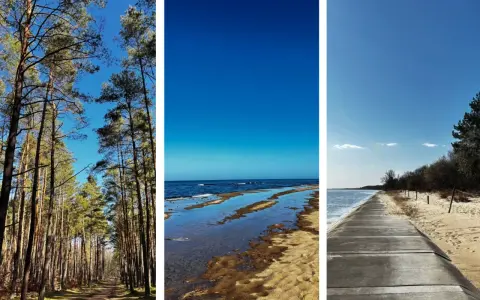 Wyspa Sobieszewska atrakcje: leśna ścieżka, plaża z wodą odbijającą niebo i betonowa promenada nad morzem.