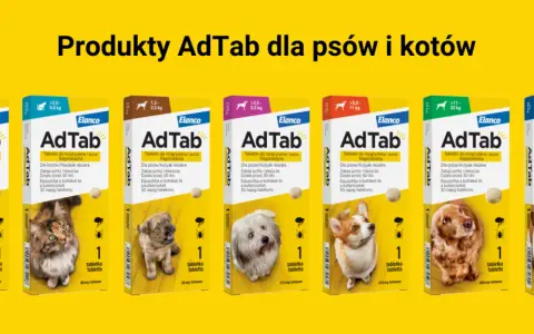 Jak działają krople na kleszcze dla psa? Poznaj ich skuteczność i bezpieczeństwo