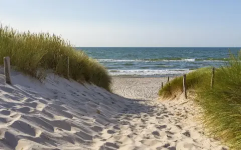 Piaskowa ścieżka prowadzi na plażę. Kiedy najlepiej jechać nad morze po jod? Wiosna i jesień to idealne pory roku.