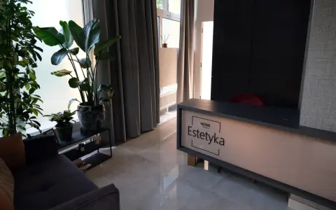 Nowa estetyka Wrocław: nowoczesne wnętrze salonu piękności z roślinami i wygodną sofą.