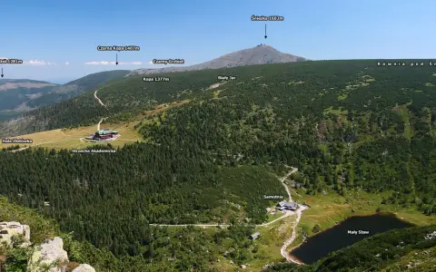 Widok na Karkonosze z górującą Śnieżką. W dole lasy, hale i Mały Staw. Słonecznik górski kwitnie na zboczach.