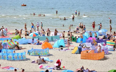 Wczasy pod gruszą na zatłoczonej plaży. Ludzie kąpią się w morzu, opalają na piasku i odpoczywają pod kolorowymi parawanami.
