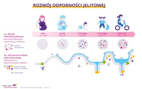 Neutrofile w ciąży: Kiedy norma, a kiedy sygnał alarmowy?