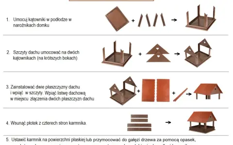 Instrukcja montażu karmnika dla ptaków. Dowiedz się, jak zrobić karmnik dla ptaków, poznaj wymiary i etapy składania.