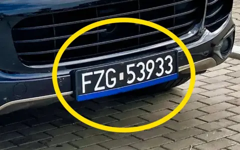 Czarne tablice rejestracyjne wykazują numer FZG-53933.